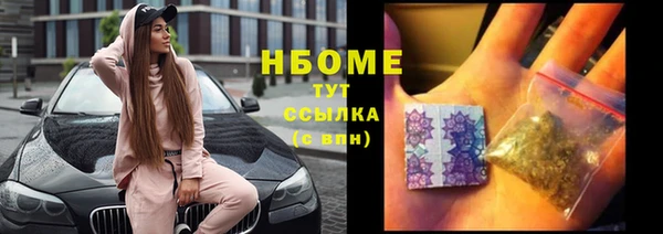индика Волоколамск
