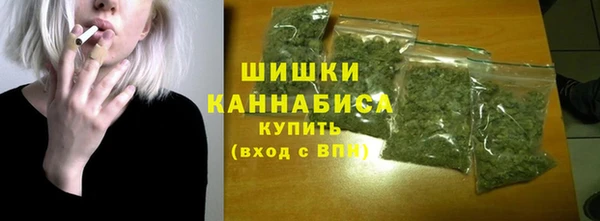 индика Волоколамск