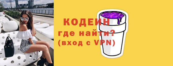 индика Волоколамск