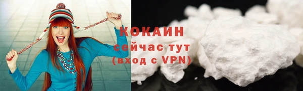 индика Волоколамск