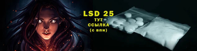 a pvp Верея