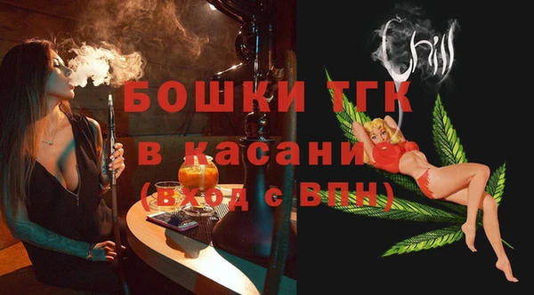 индика Волоколамск