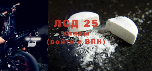 индика Волоколамск