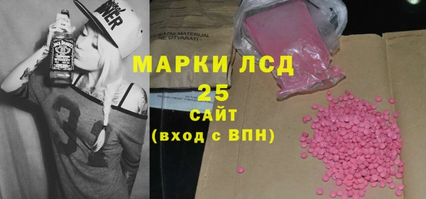 индика Волоколамск