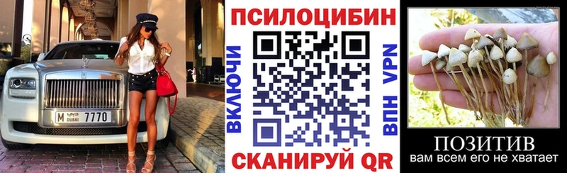 где найти наркотики  Волхов  hydra зеркало  Псилоцибиновые грибы MAGIC MUSHROOMS 